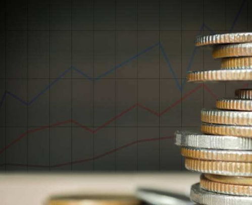 股權投資與償債能力綜合分析 性價比出眾的投資策略